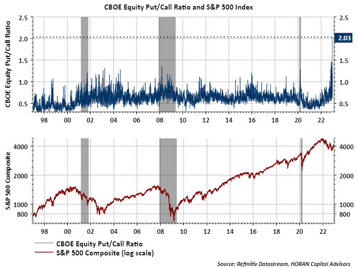 Equity Put Call Ratio Above 2 0 HORAN